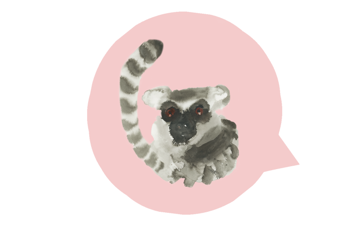 Toelichting dierentaalquiz